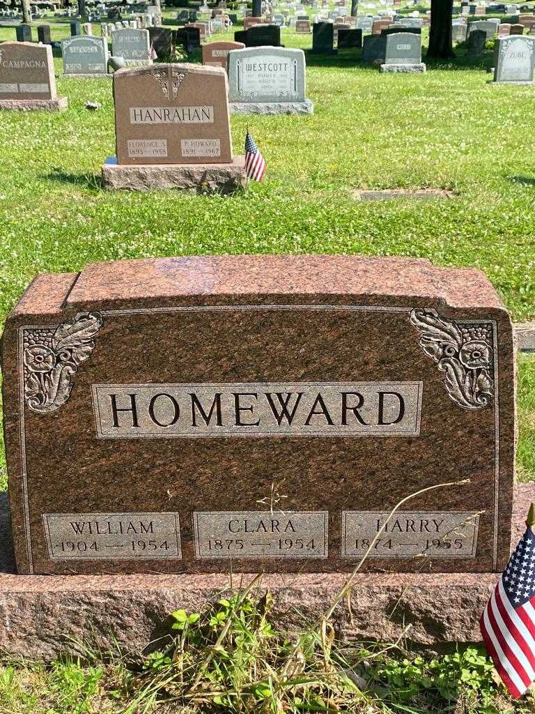 Harry Homeward's grave. Photo 3