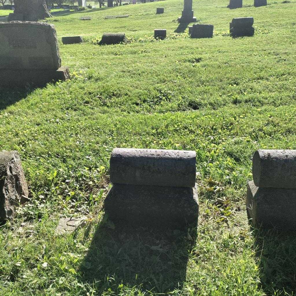 William F. Seibert's grave. Photo 1