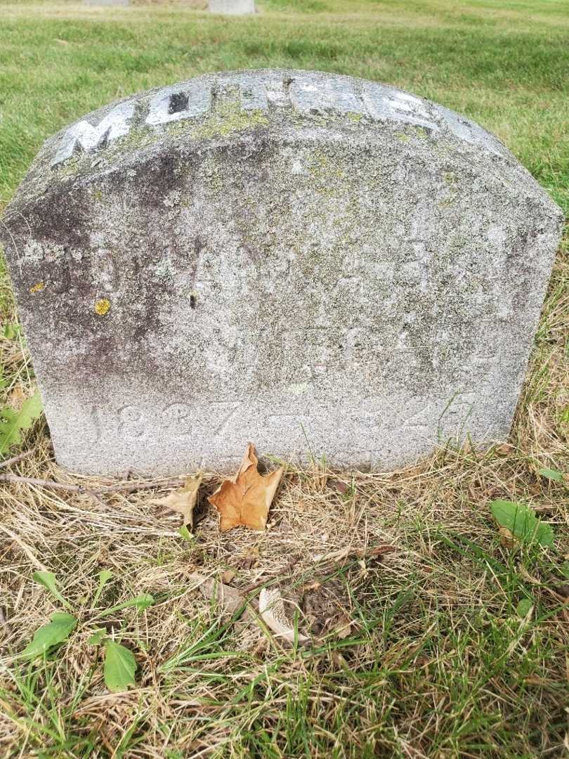 Johanna B. Wiegand's grave. Photo 3