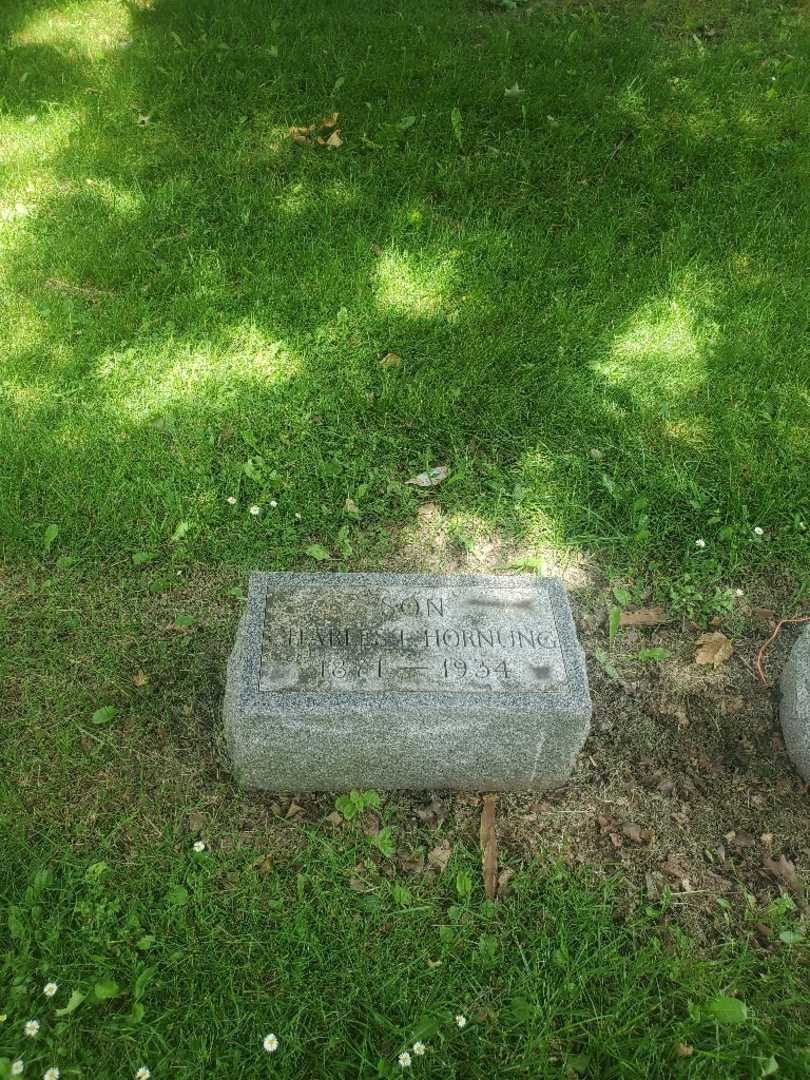 Charles L. Hornung's grave. Photo 2