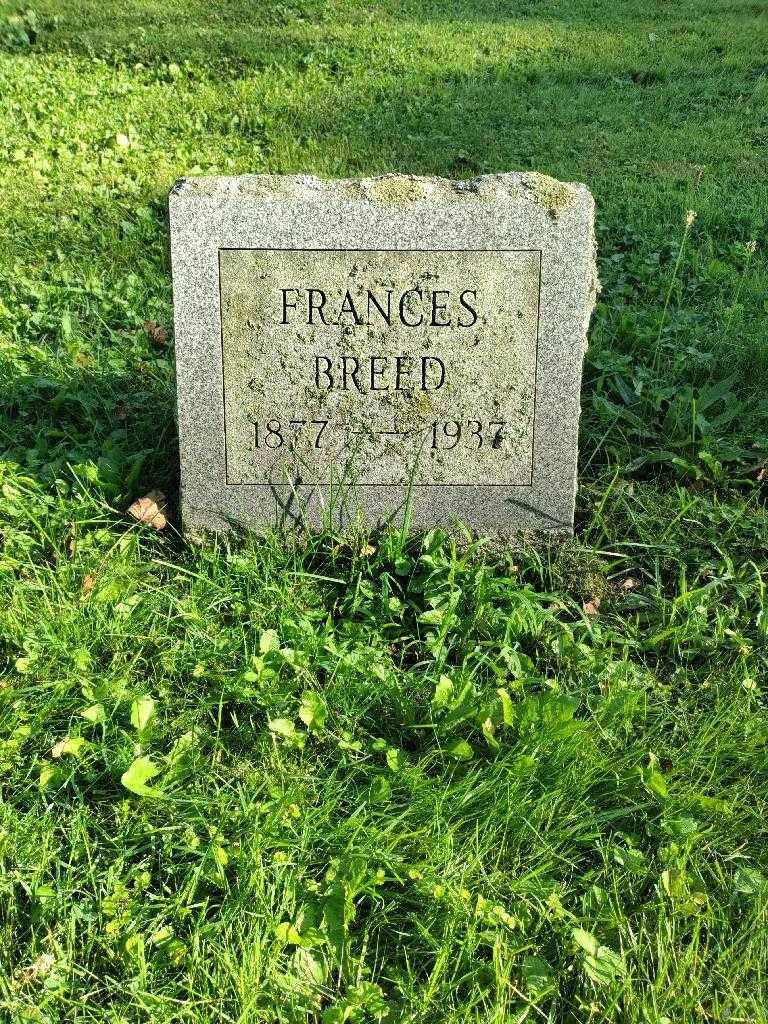Frances Breed's grave. Photo 2