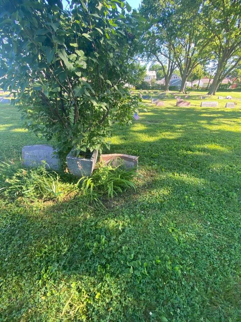 Merril C. Lester's grave. Photo 1