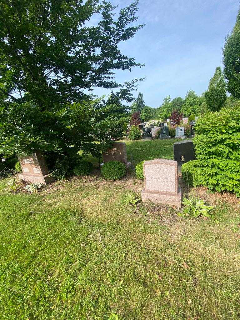 Mark R. Karle's grave. Photo 1