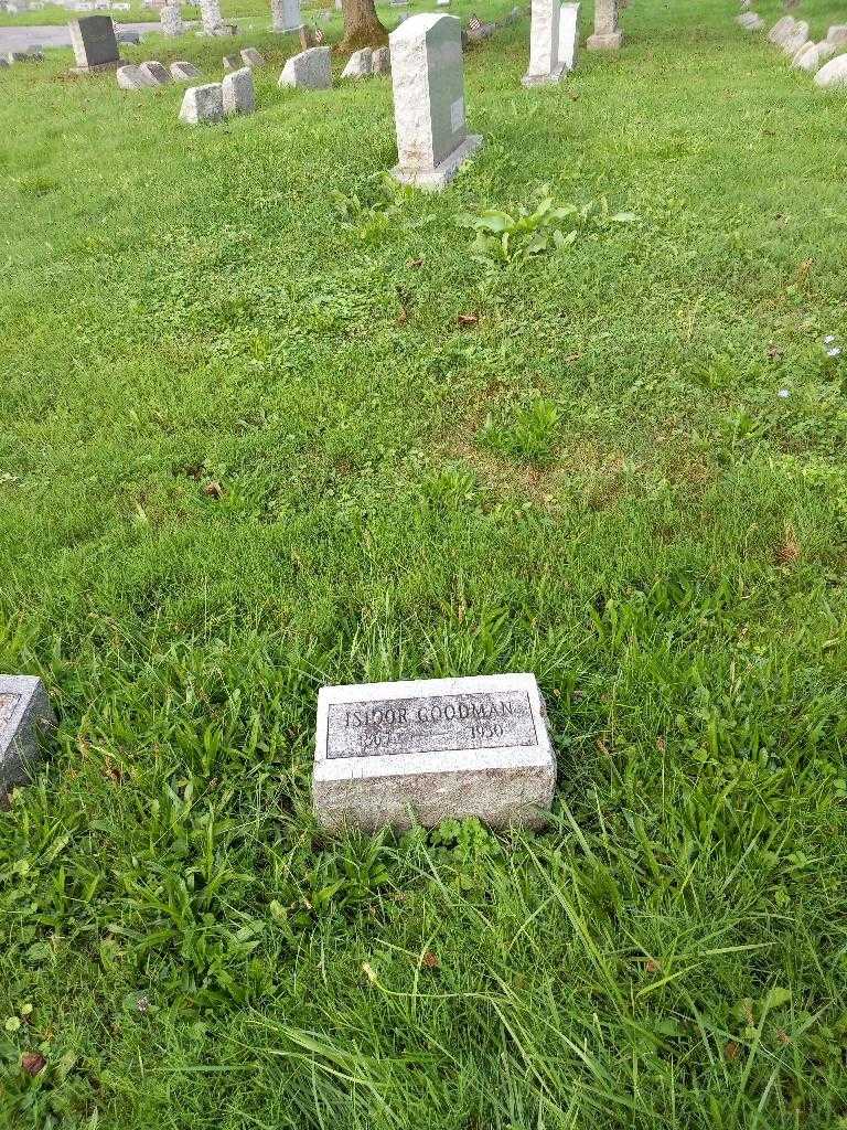 Isidor Goodman's grave. Photo 3