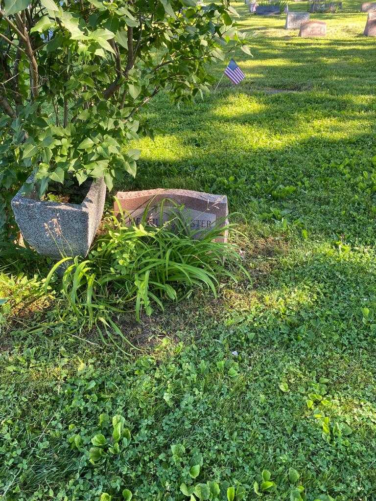 Merril C. Lester's grave. Photo 2