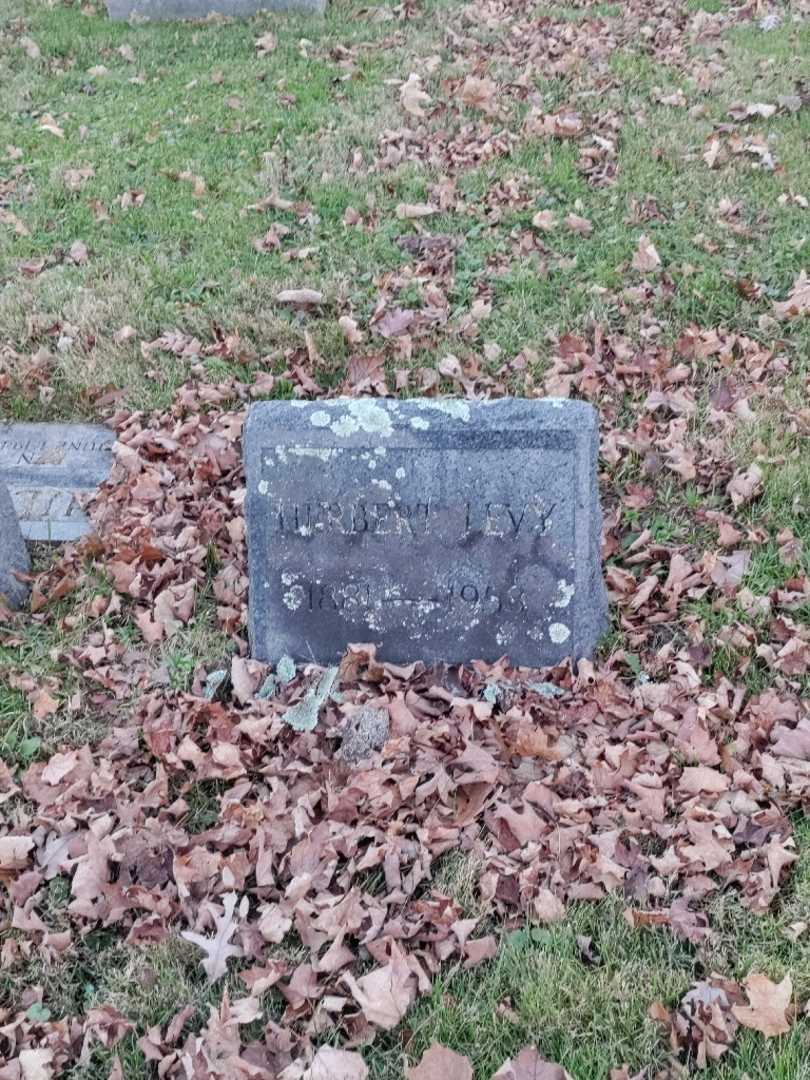 Herbert Levy's grave. Photo 2