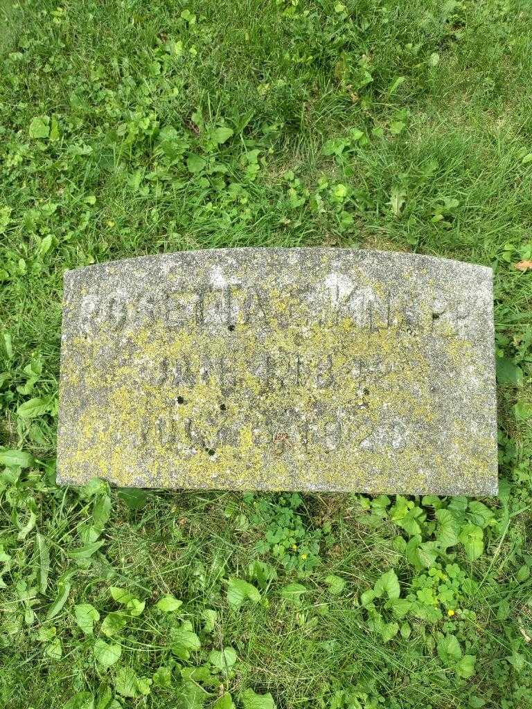 Rosetta E. Knapp's grave. Photo 3