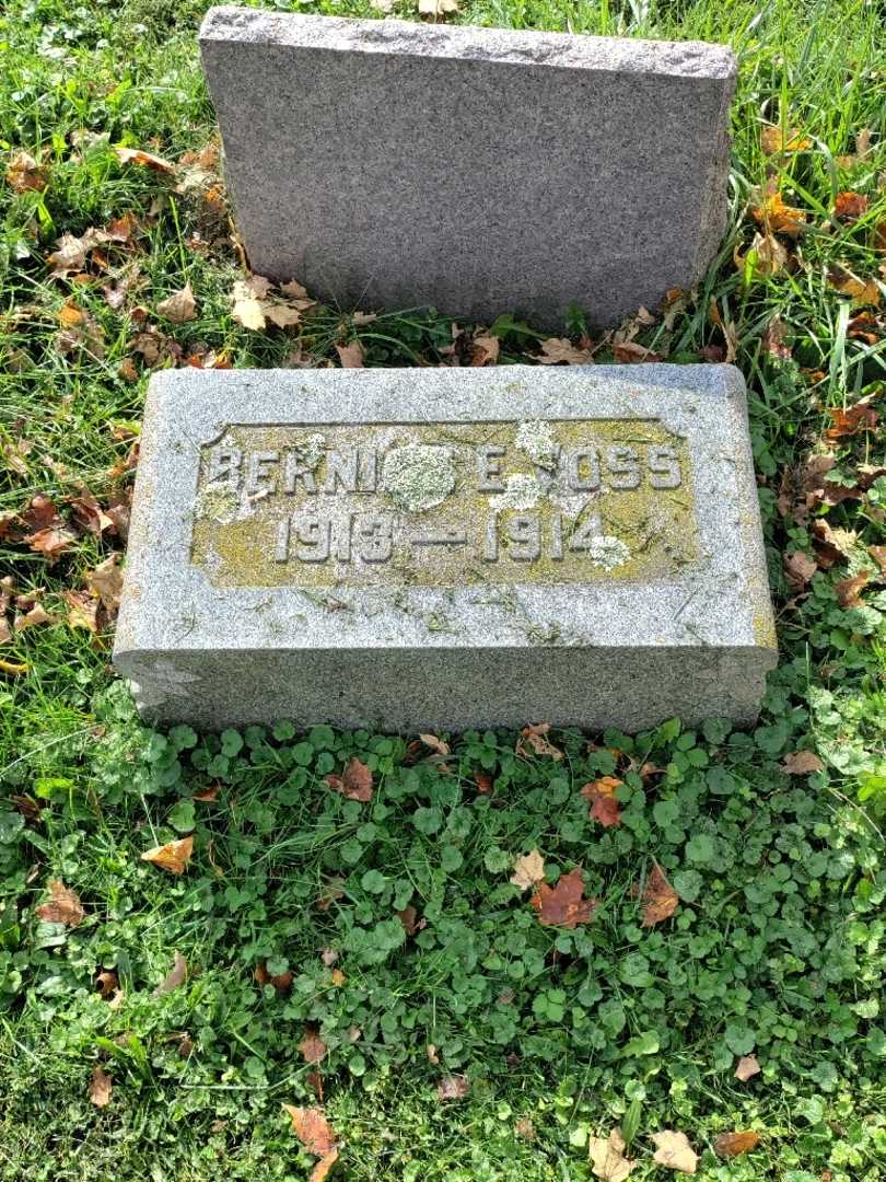 Bernice E. Voss's grave. Photo 2