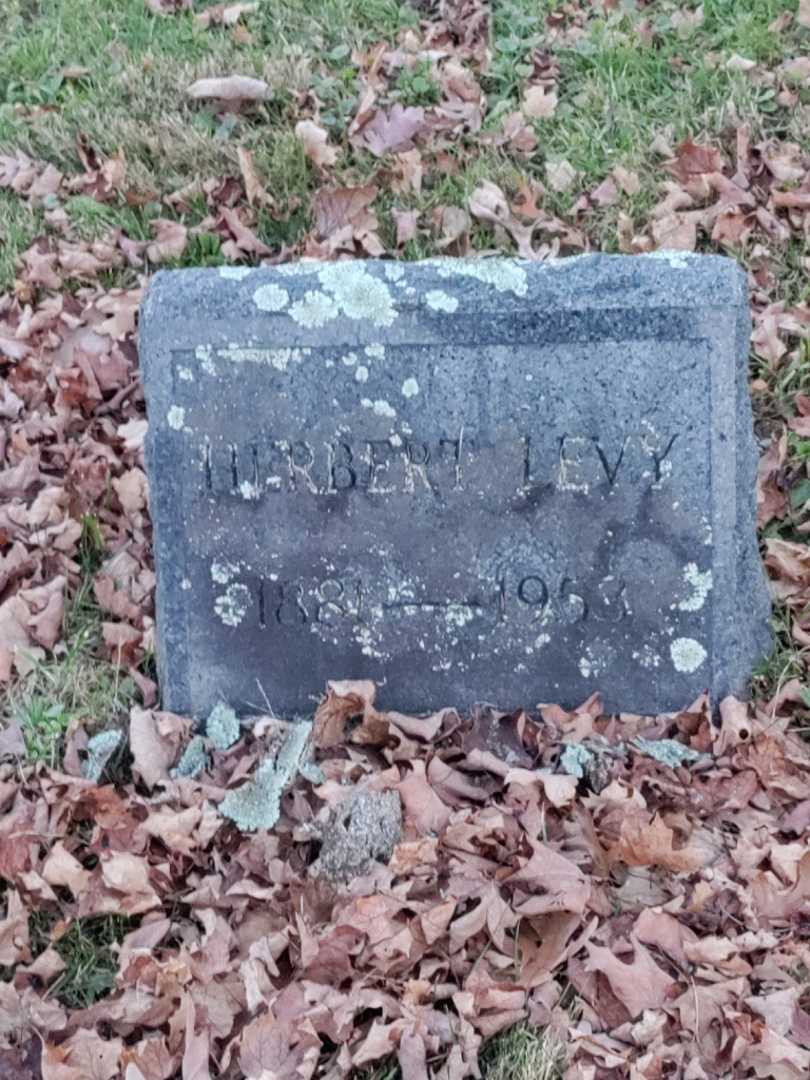 Herbert Levy's grave. Photo 3