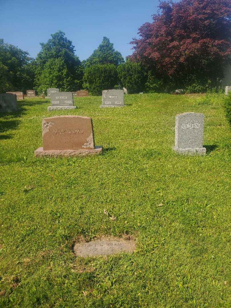 George E. Naumann's grave. Photo 1