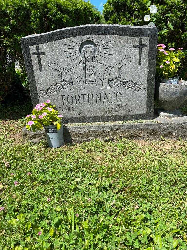 Benny Fortunato's grave. Photo 2
