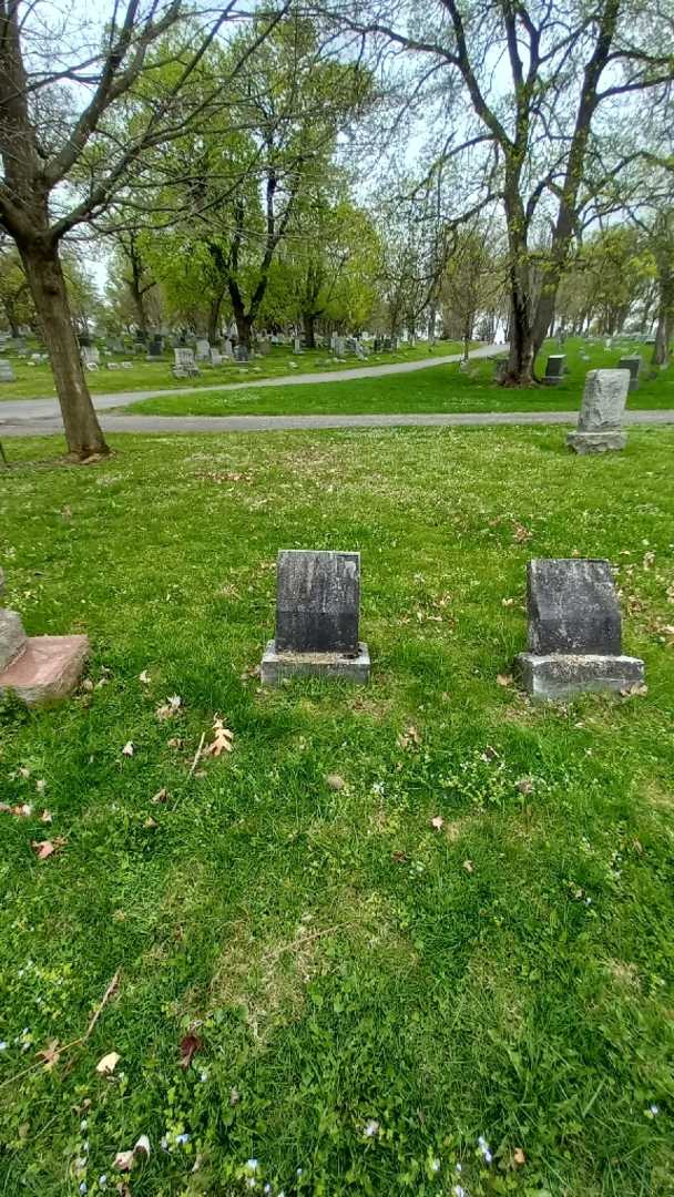 Frances Langemann's grave. Photo 1