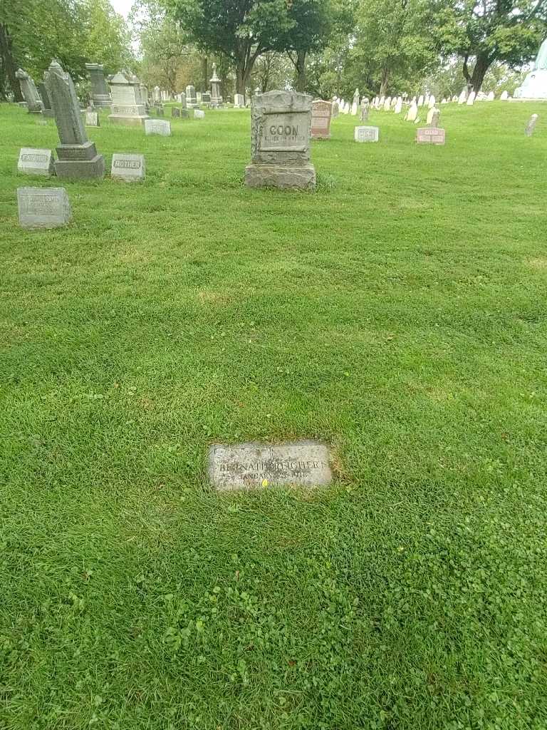 Bernath Reichert's grave. Photo 1