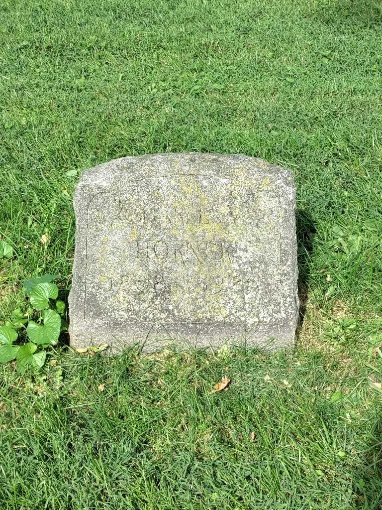 Charles V. Horner's grave. Photo 2