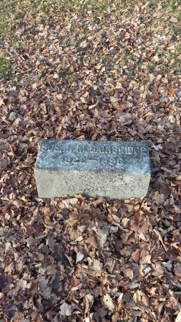 Susan M. Bainbridge's grave. Photo 2
