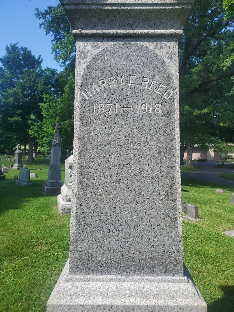 Harry E. Reed's grave. Photo 3