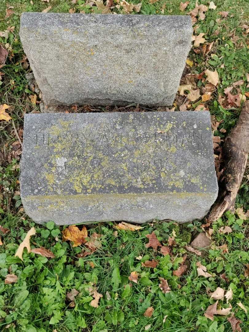 Henry A. Hegeman's grave. Photo 2