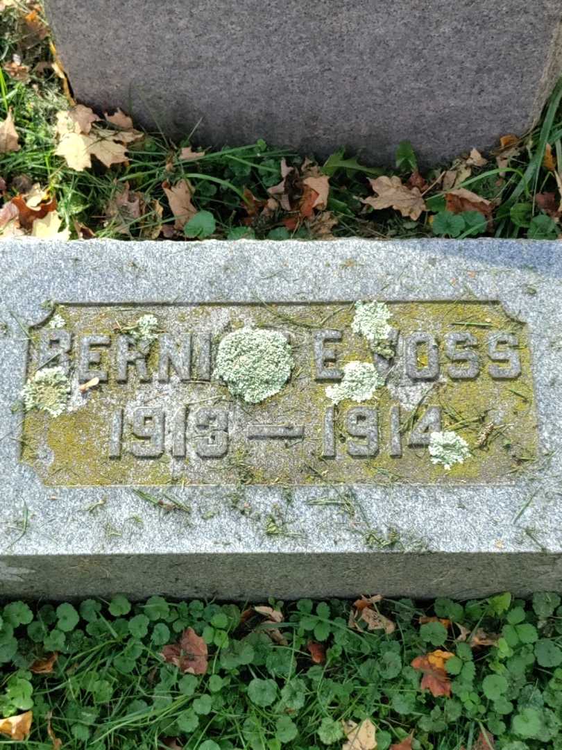 Bernice E. Voss's grave. Photo 3