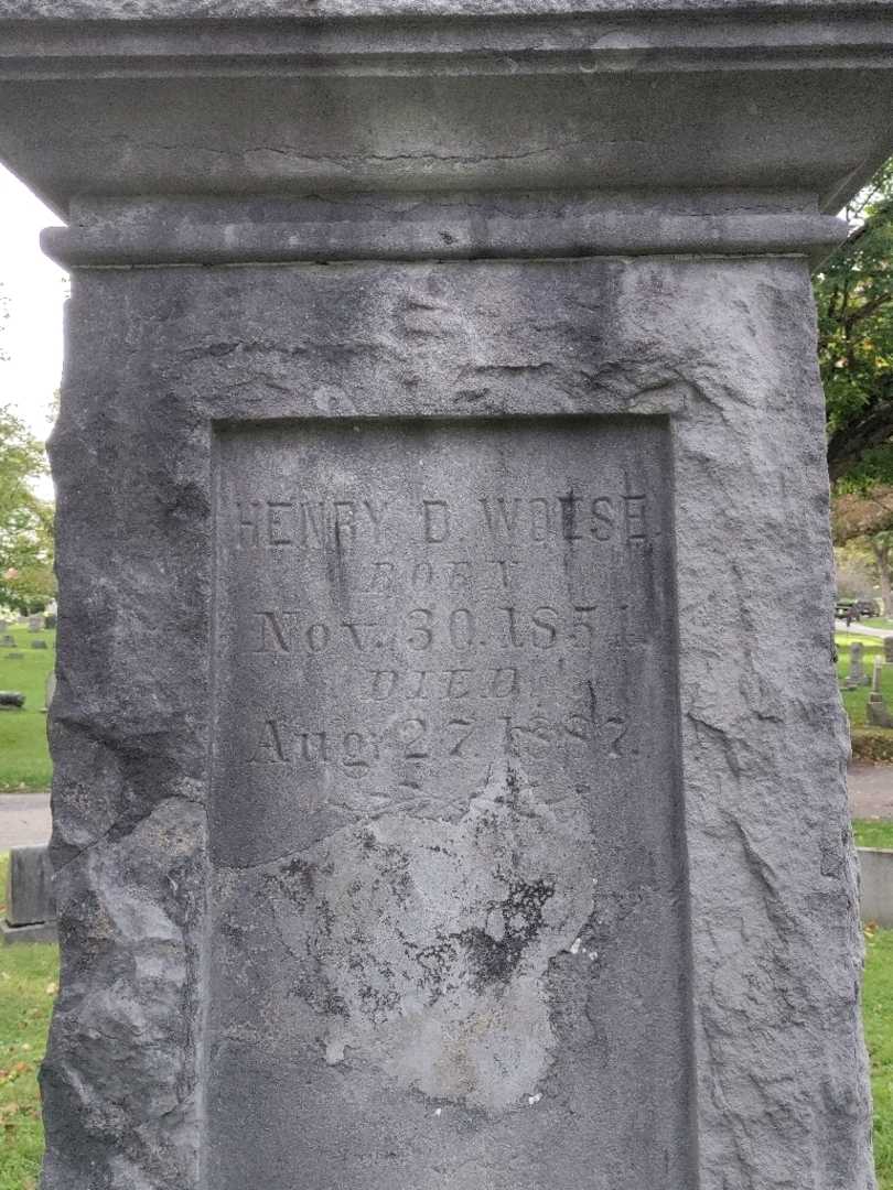 Henry D. Woese's grave. Photo 4