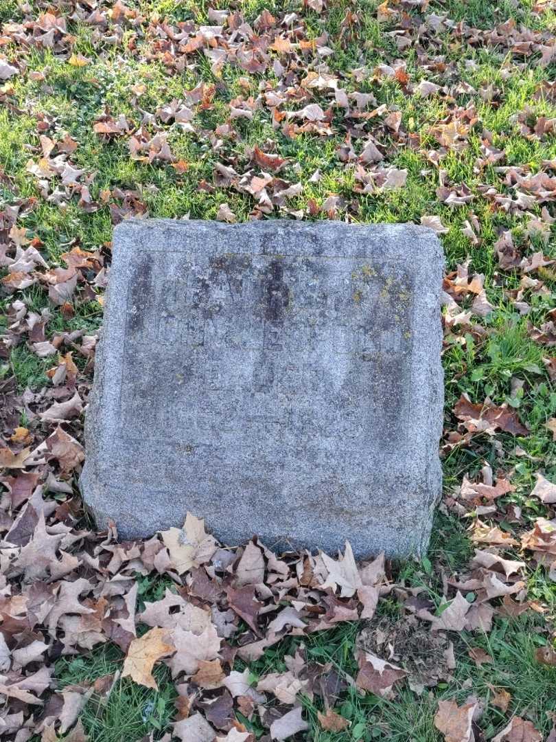 John Leopold Bauer's grave. Photo 2