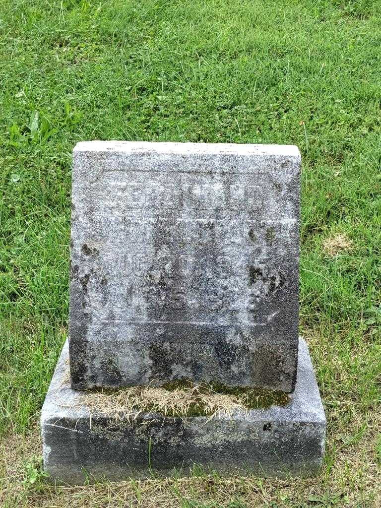 Ferdinand C. Mittelstadt's grave. Photo 3