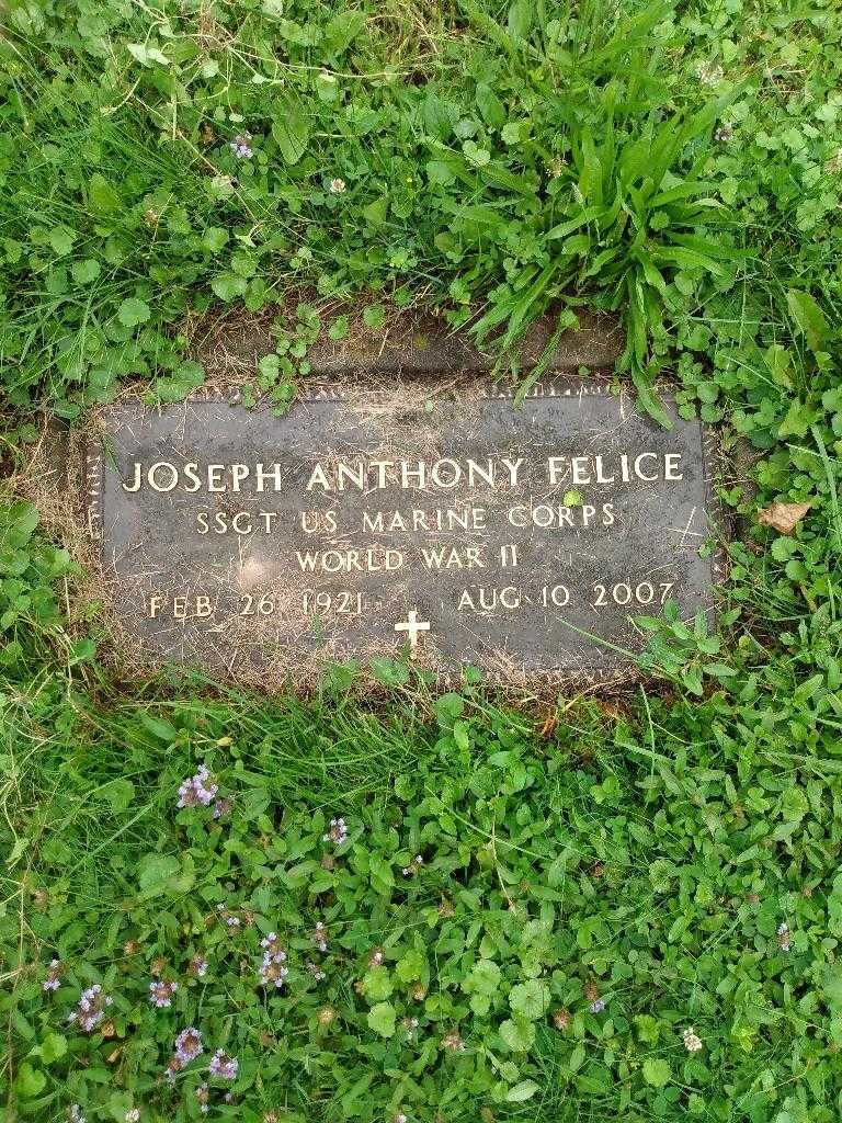 Joseph Anthony Felice's grave. Photo 4