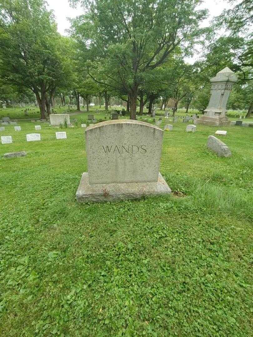 Robert E. Wands's grave. Photo 1