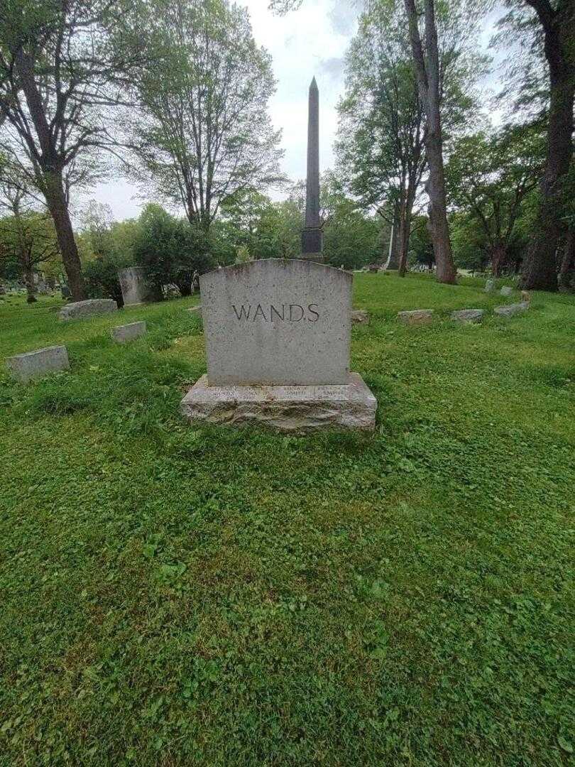 Robert E. Wands's grave. Photo 2