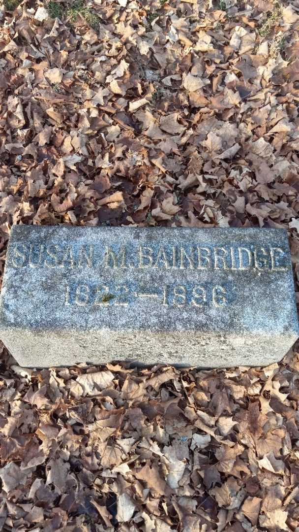 Susan M. Bainbridge's grave. Photo 3