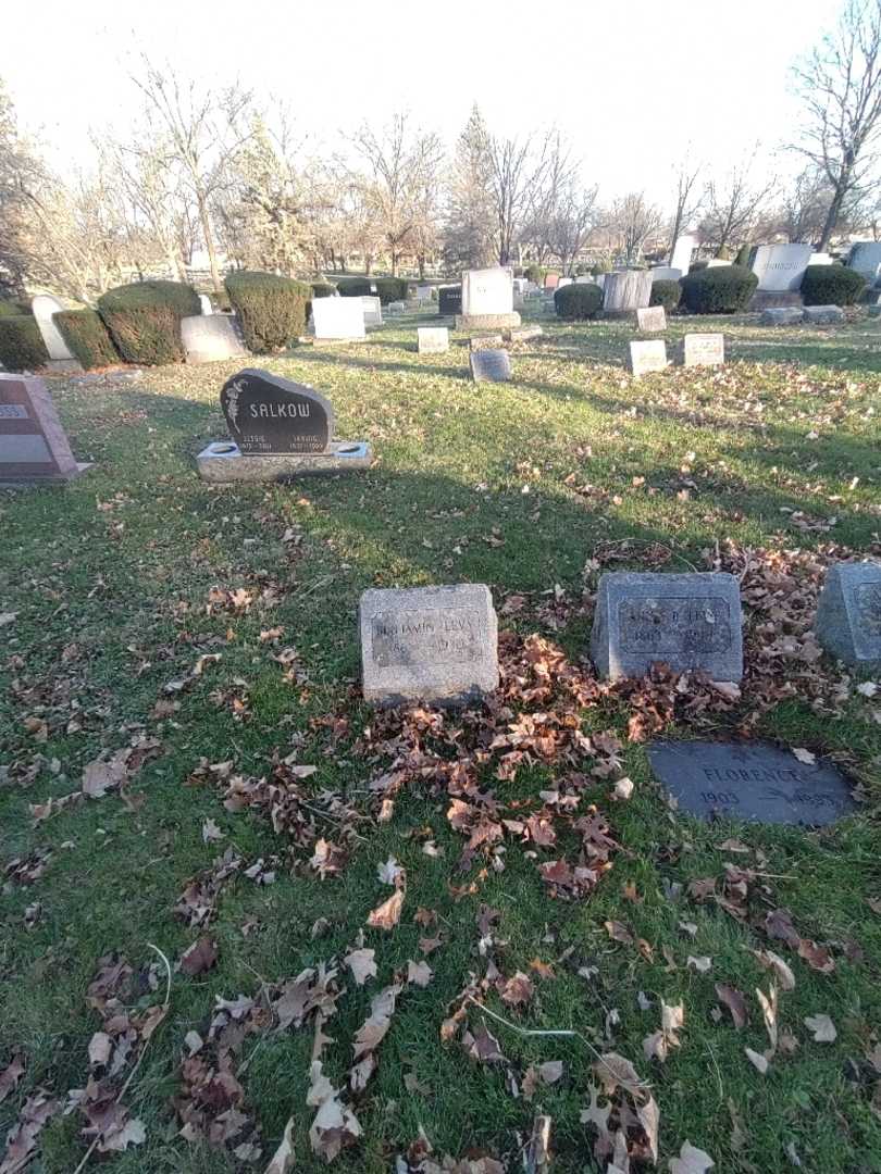 Benjamin Levy's grave. Photo 1
