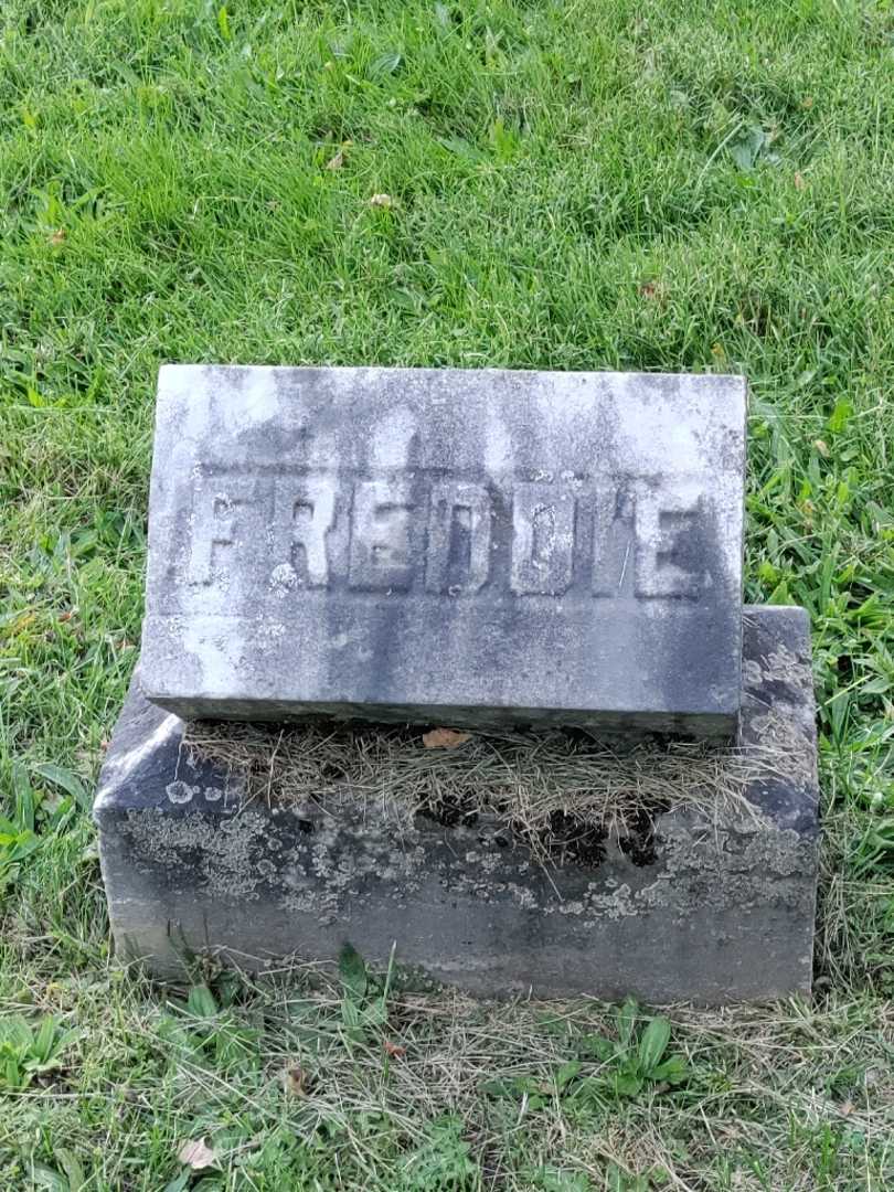 Freddie B. Schrouder's grave. Photo 3