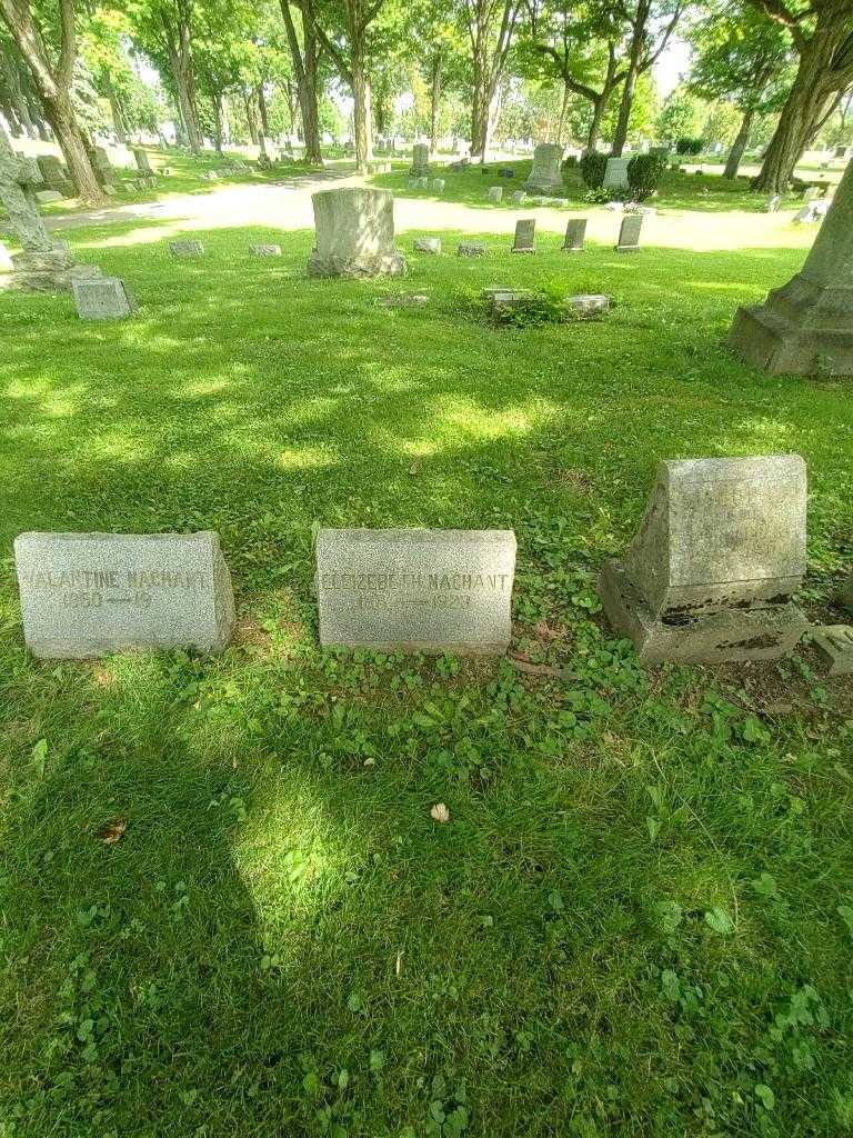 Eleizebeth Nachant's grave. Photo 1