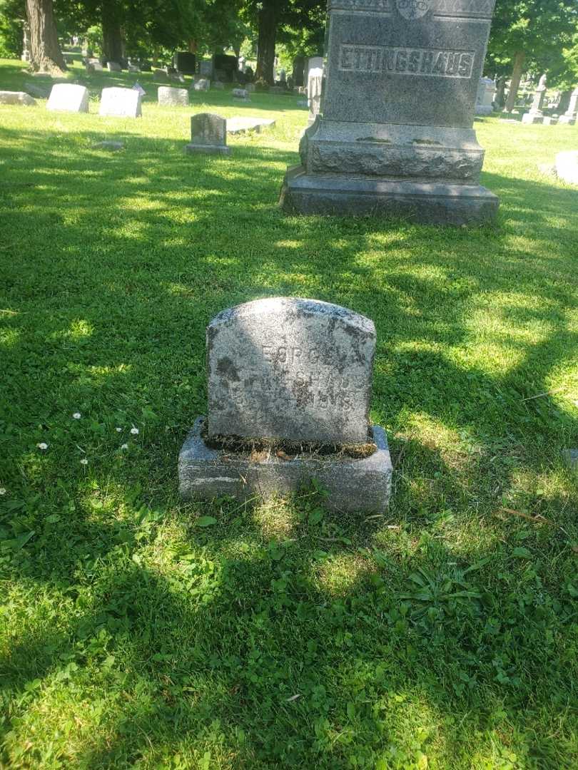 George "Geo" Ettingshaus's grave. Photo 3