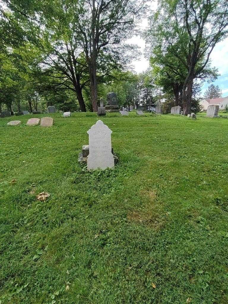 Almira C. Wilber's grave. Photo 1