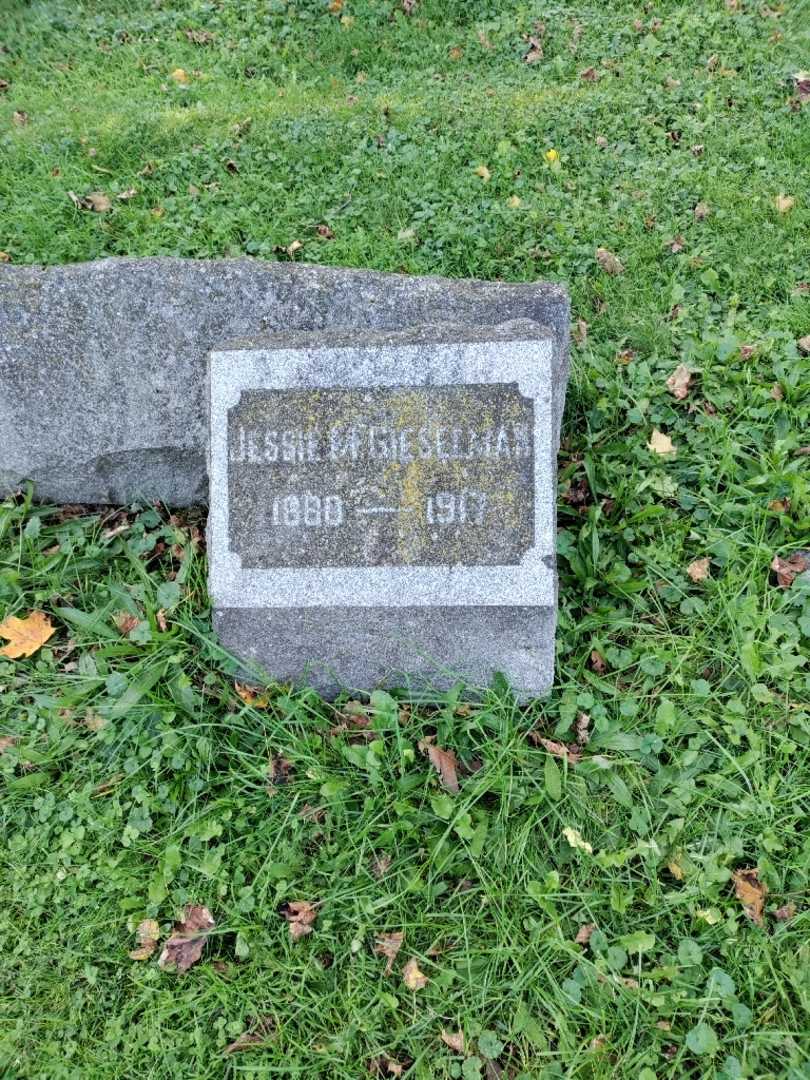 Jessie M. Gieselman's grave. Photo 2