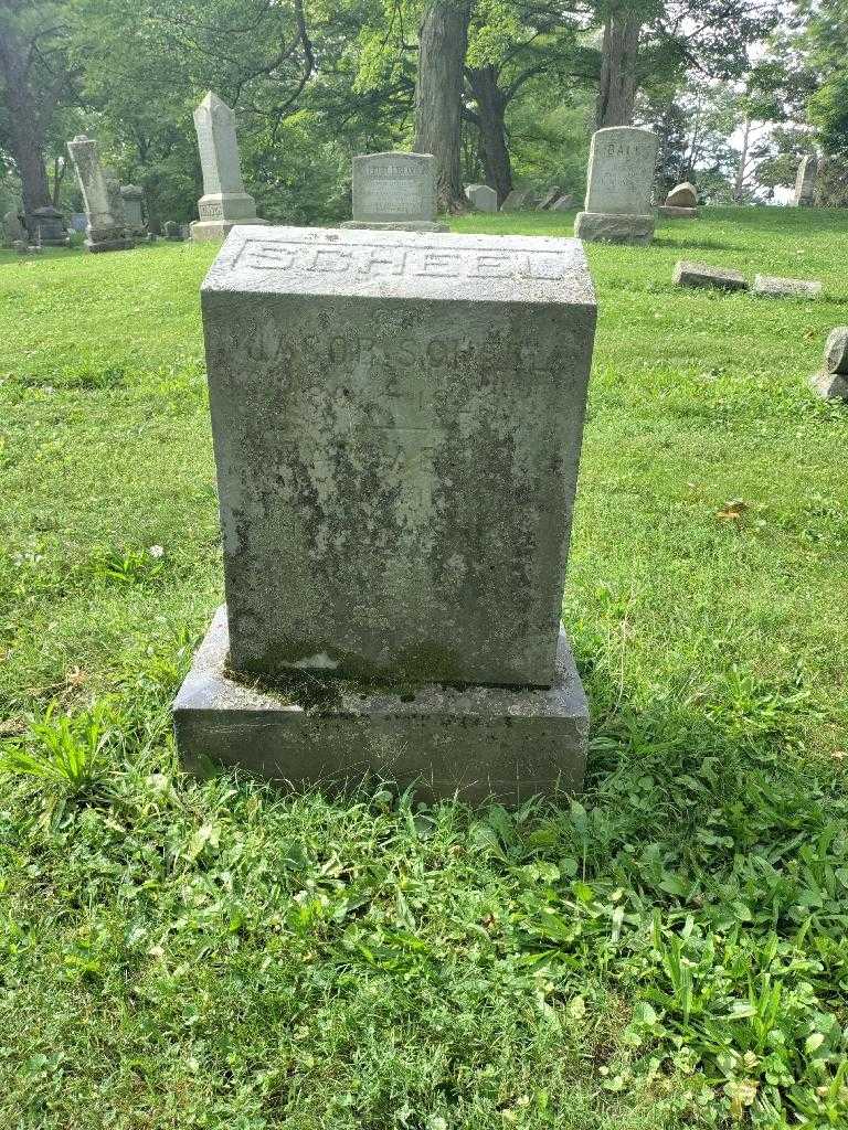 Jacob Scheel's grave. Photo 2