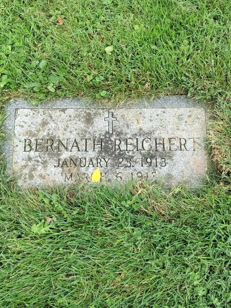 Bernath Reichert's grave. Photo 3