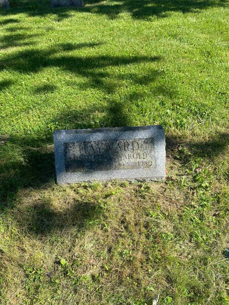 Myrtle Hayward's grave. Photo 2