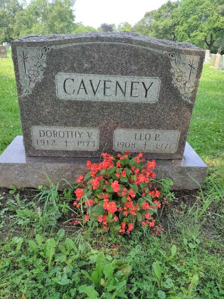 Baby C. Zimmer's grave. Photo 1