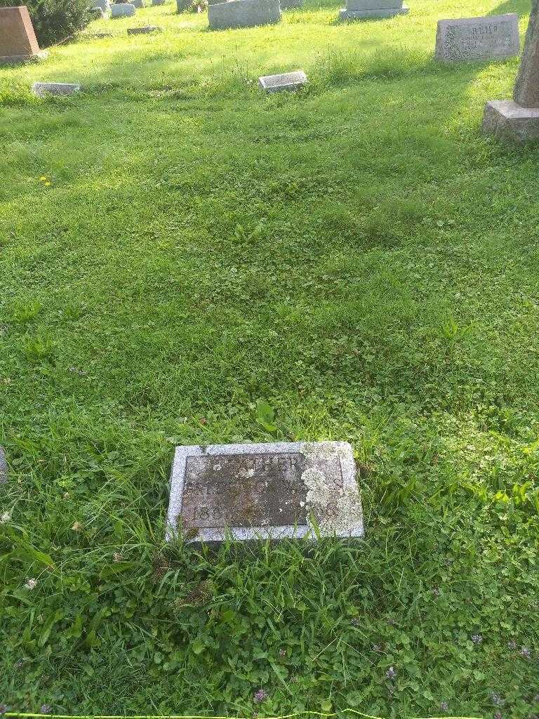 Frederick W. Sass's grave. Photo 3