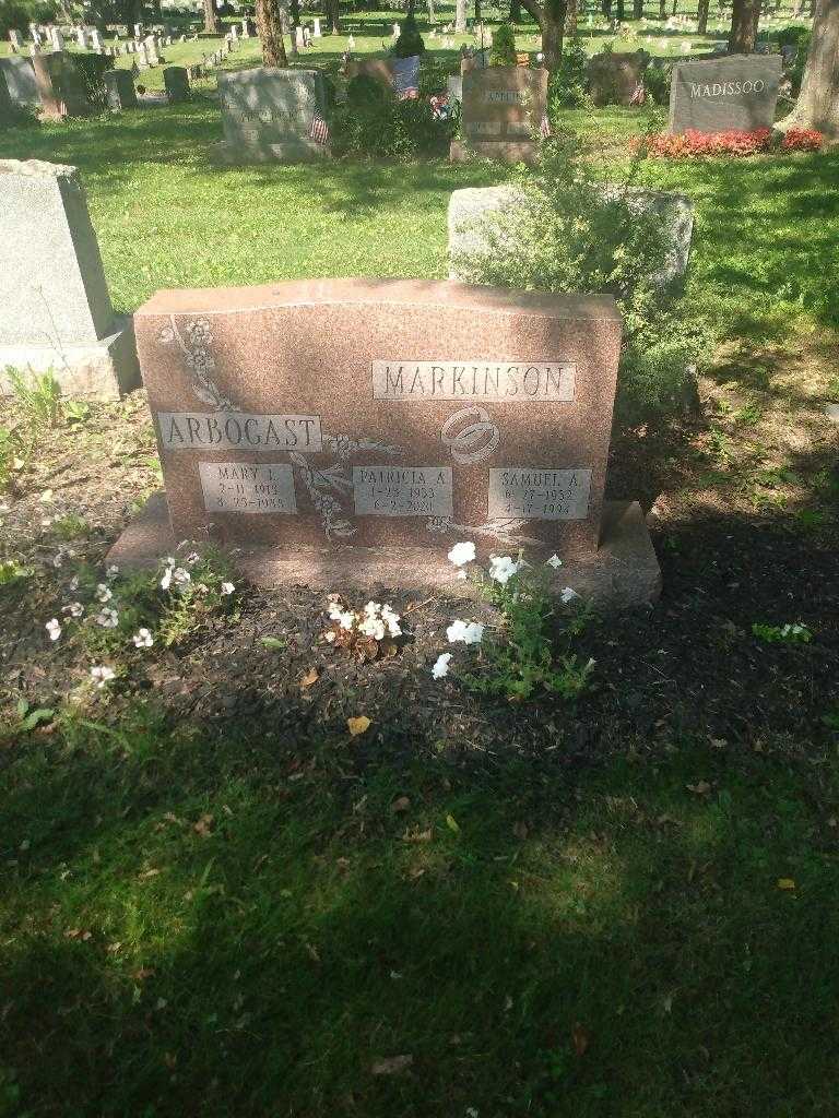 Samuel A. Markinson's grave. Photo 1