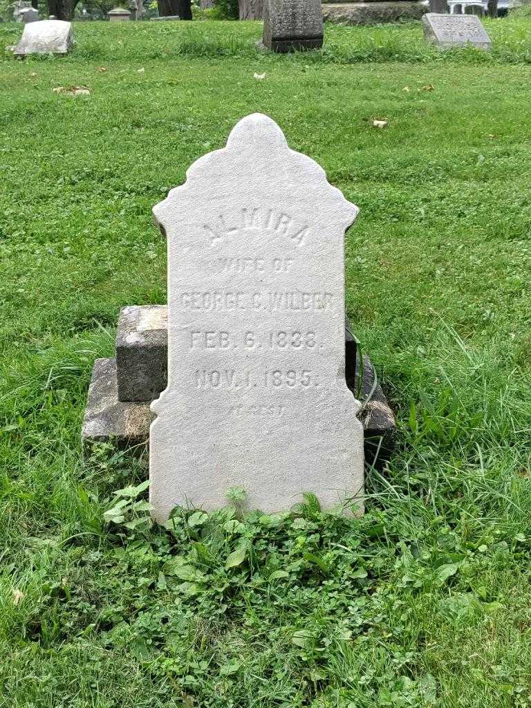 Almira C. Wilber's grave. Photo 2