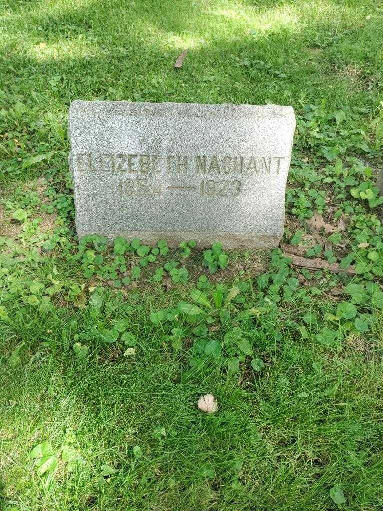 Eleizebeth Nachant's grave. Photo 2