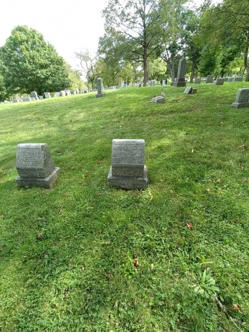 Louise K. Krausharr's grave. Photo 1