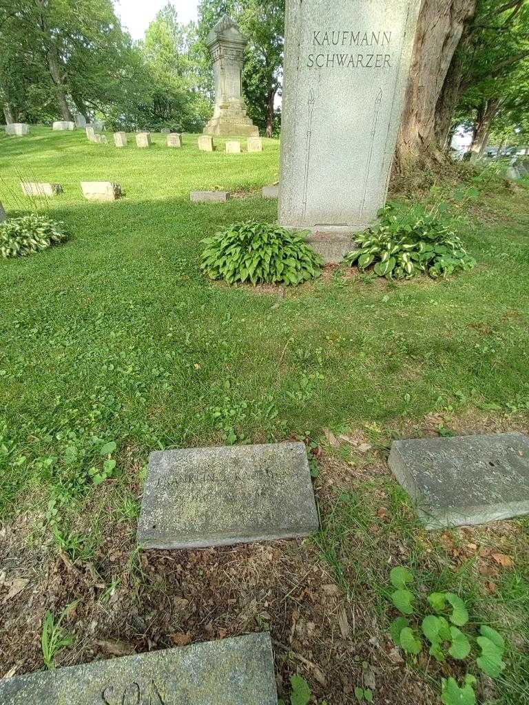 Franklin J. Kaufmann's grave. Photo 1