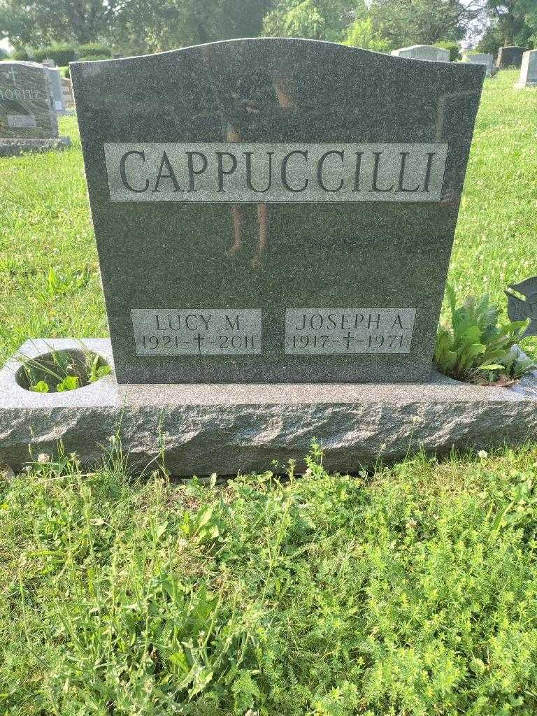 Lucy M. Cappuccilli's grave. Photo 1