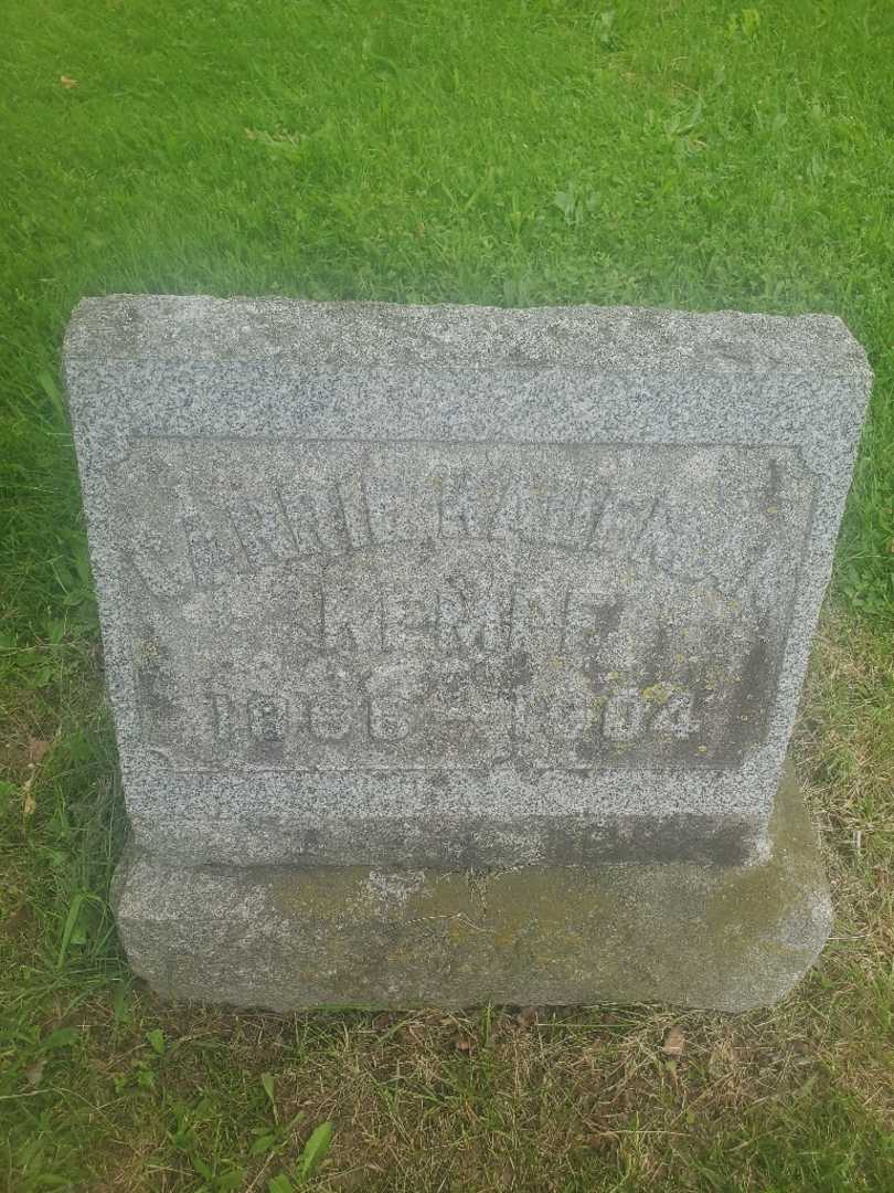 Charles Wm. F. Kaufman's grave. Photo 1