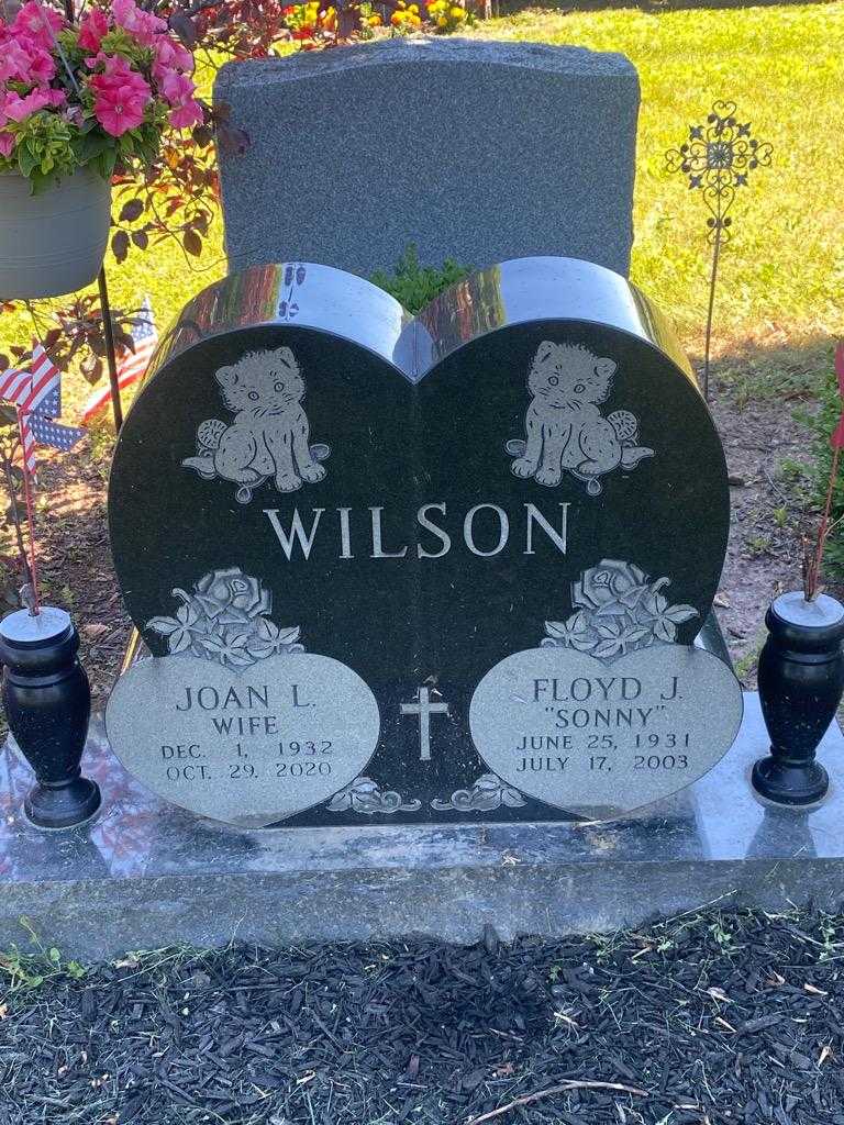 Floyd J. "Sonny" Wilson's grave. Photo 3
