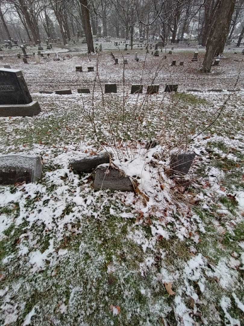 Margaret A. "Marge" Perkins's grave. Photo 1