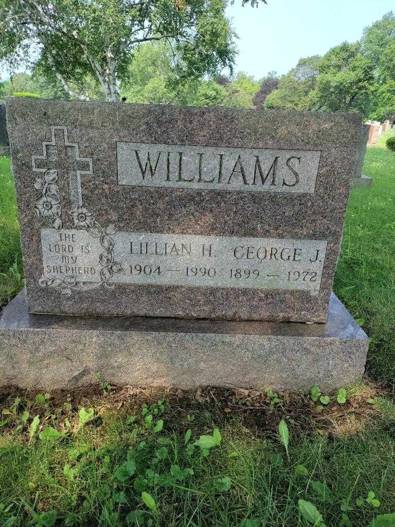 George J. Williams's grave. Photo 2